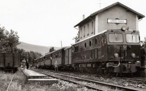 CRÓNICAS DESDE EL TREN DE LA ROBLA: VIEJO CABALLO DE HIERRO DOCUMENTALES